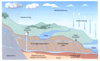 Wasseradernlauf